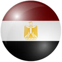 埃及市场标准