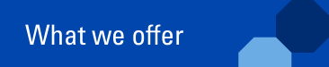 what we offer