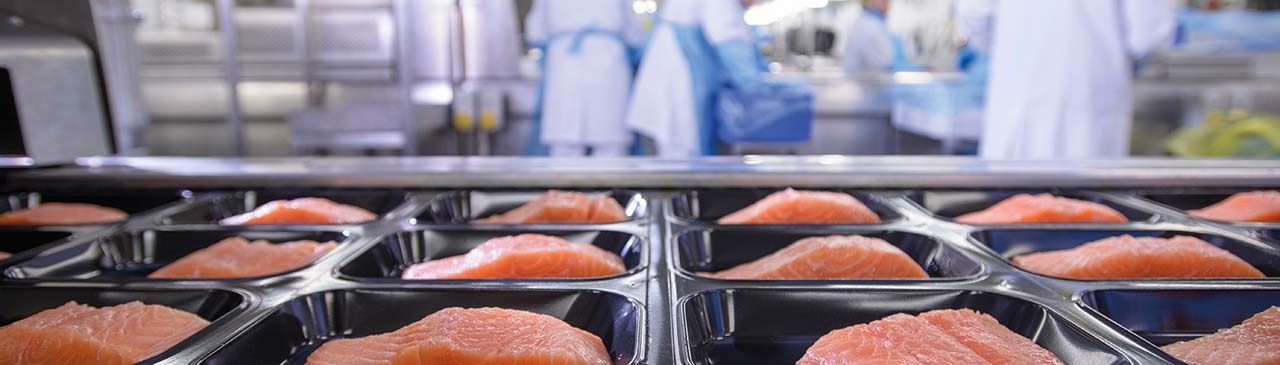 Safety for Seafood and Fish Products