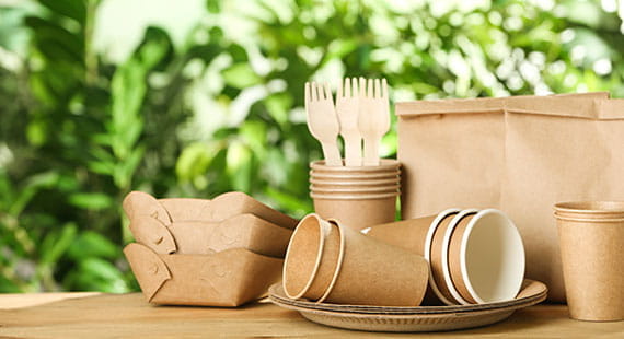 Biodegradable Packaging Certification 