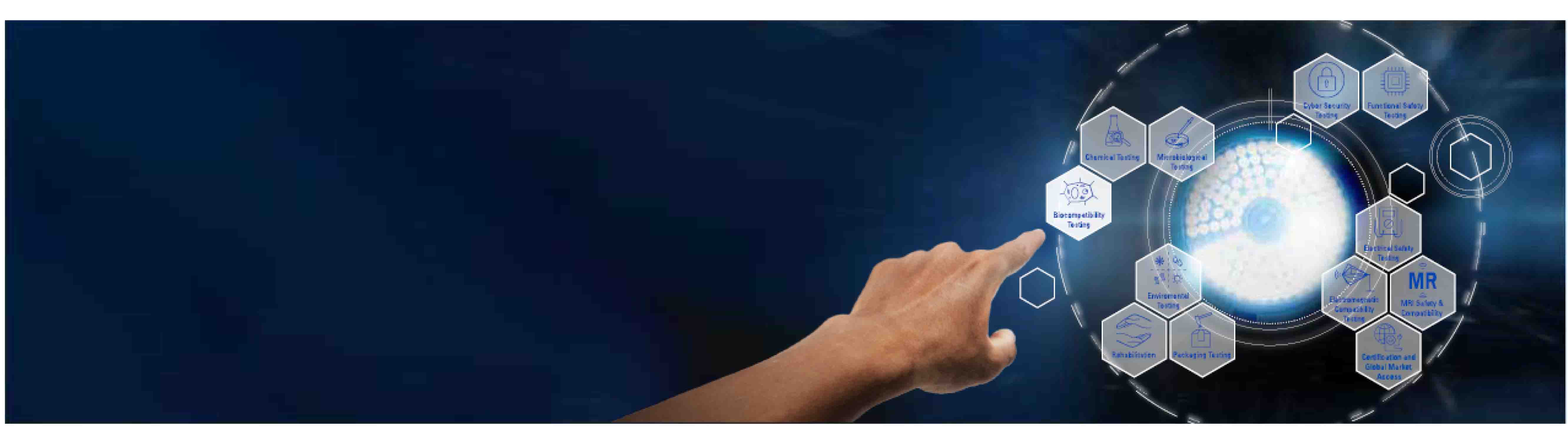 Biocompatibility testing