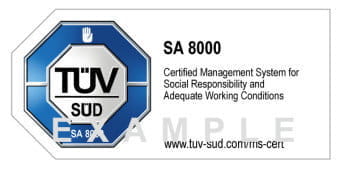 ts-sa-8000-en-example