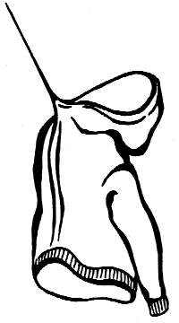 drawstring 1