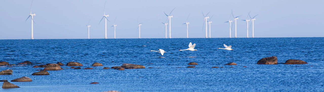 Sowing the Wind, Powering the Future