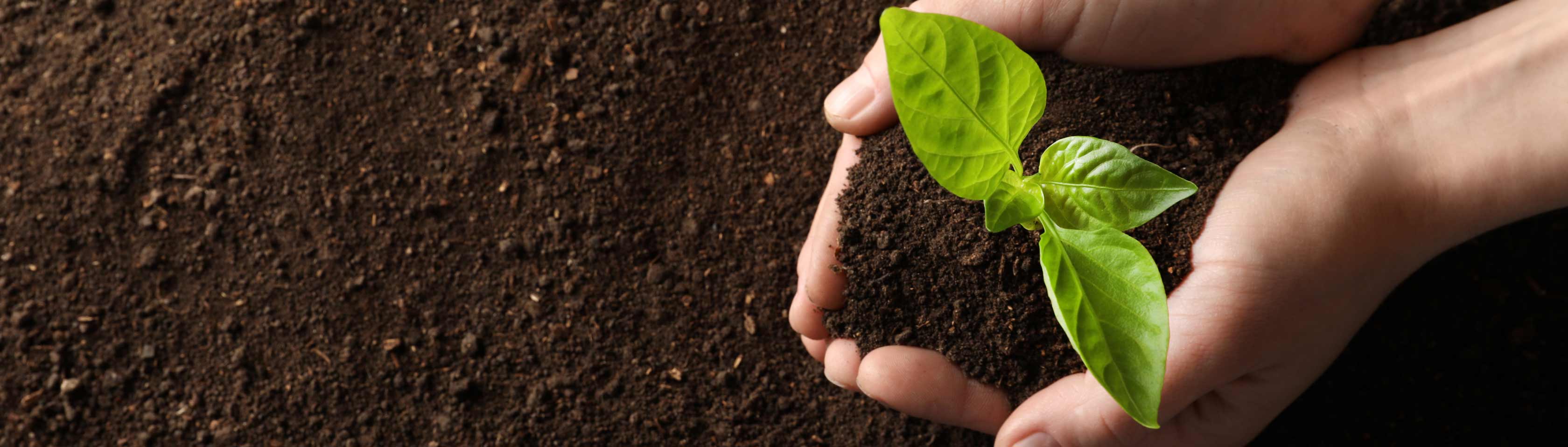 climate change project