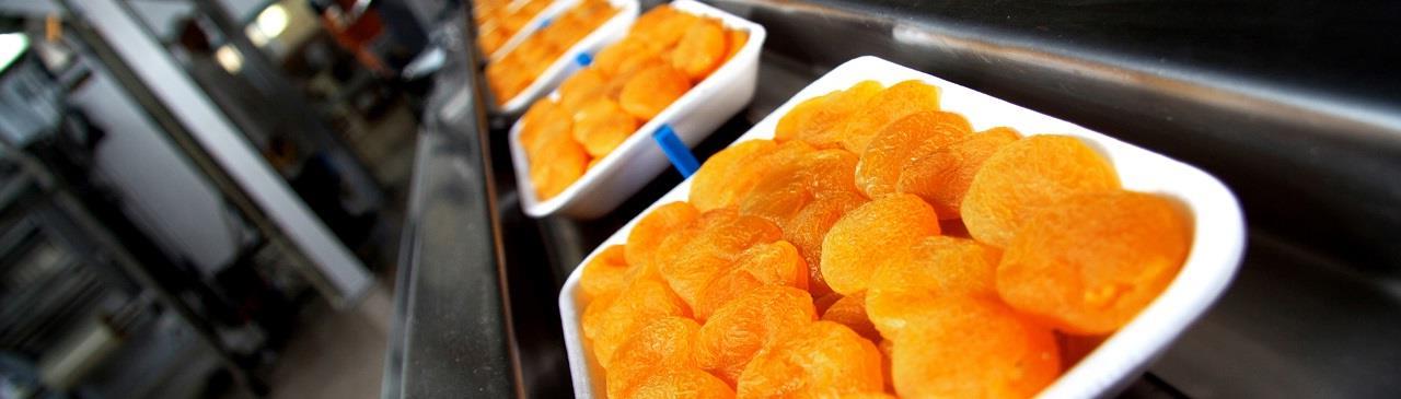 IFS食品安全标准认证