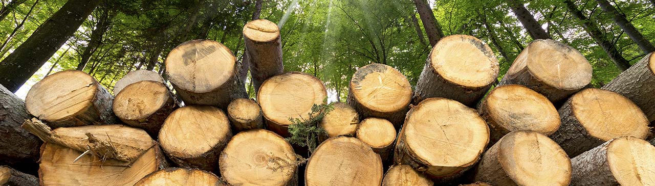 FSC® 产销监管链认证