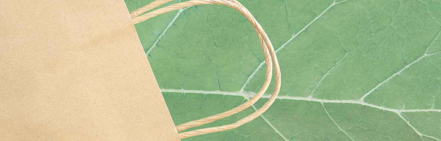 Sustainability Consumer