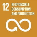 Responsible Consumption and Production