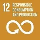 Responsible Consumption and Production
