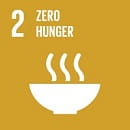 可持续发展行动-零饥饿