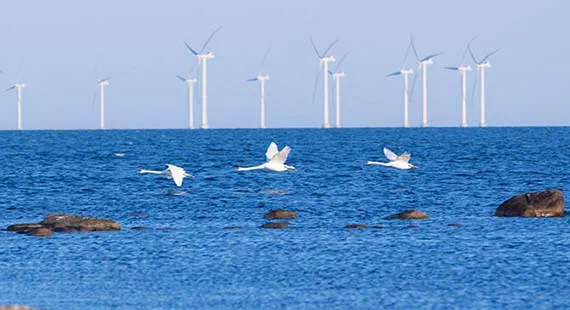 Floating Windfarms Floating Windfarms