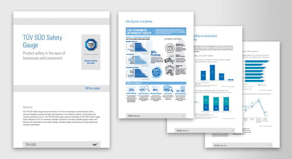 Safety Gauge 2013 Global Report
