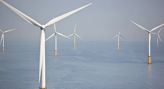 Driving force of future offshore wind