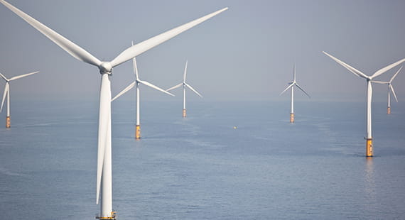 Driving force of future offshore wind