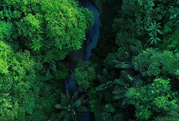 可持续发展服务