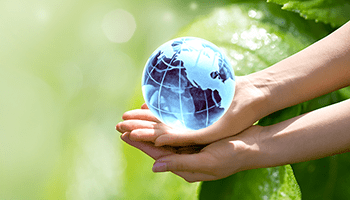 Procurement and Supply Chain