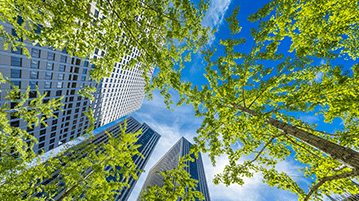 Green Building Training and Facilitation 