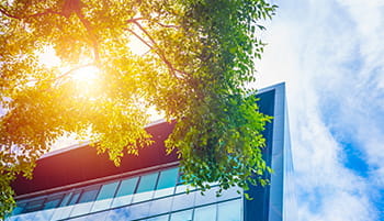 Modern city Eco office building with tree plant for ozone air purify and sun heat protection help saving energy.