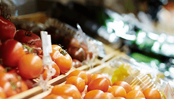 food safety management