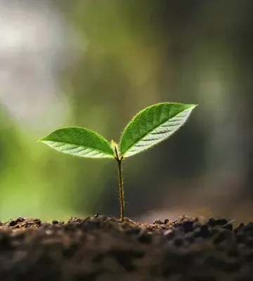 sustainability training sustainability training