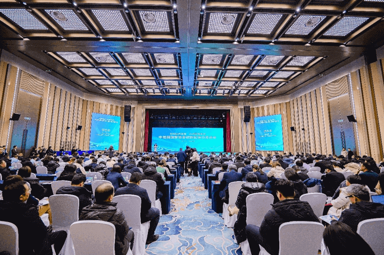 中德园国家级零碳园区建设推进会现场照片